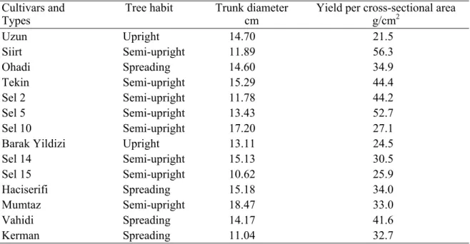 Table 4. Tree habit, trunk diameter and yield efficiency of cultivars and types grown  under irrigated conditions
