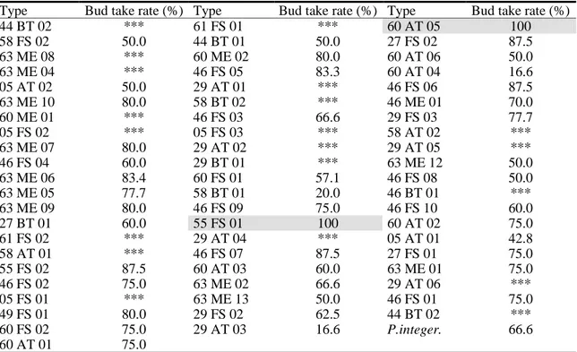 Table 4. Bud take rates (%) of different  Pistacia types. 