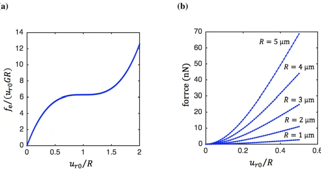 FIG. 2. (Color online) (a) The dimensionless force  