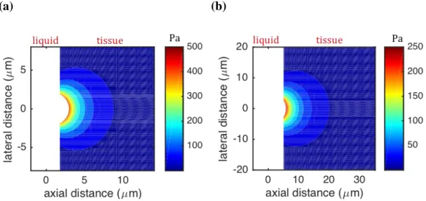 FIG. 4. (Color online) Stress distribution for a bubble radius (a)  