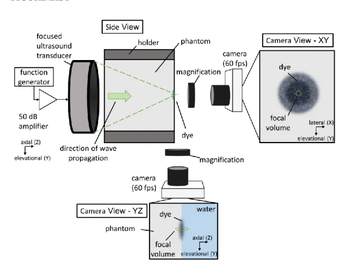 Fig. 1. Experimental setup. An MPPa gel with a localised region of a dye was immersed  3 
