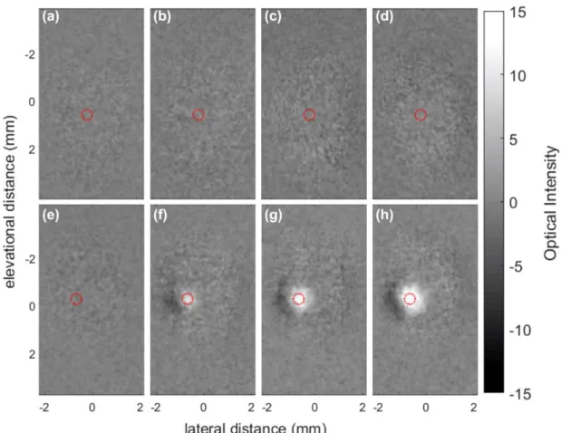 Fig. 4. Feasibility  of acoustic streaming  in a porous material tested by  changes  in dye  2 