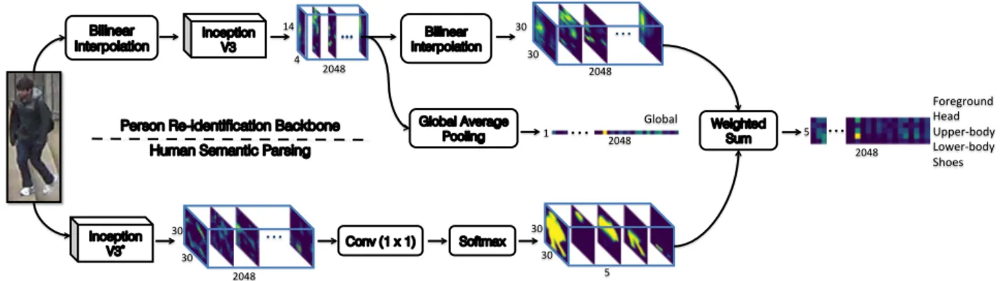 Figure 1: SPReID framework: our proposed person re-identification model first transforms the input RGB image into a tensor of activations via a convolutional backbone while simultaneously generating probability maps associated to different semantic regions