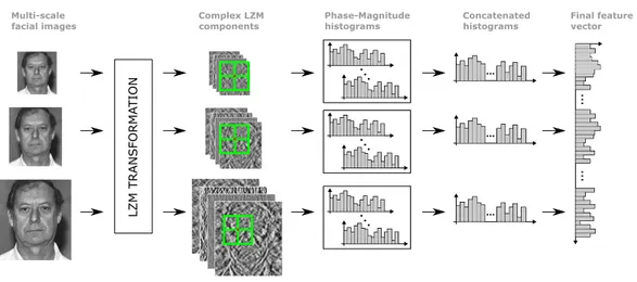 Figure 3. Steps of the proposed multi-scale feature extraction scheme using LZM components