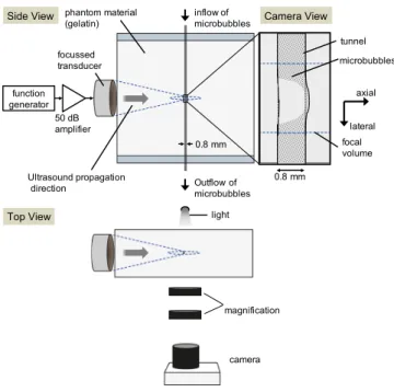 FIG. 1. Experimental setup. A solution of microbubbles flowing through a 0.8 mm wall-less channel were sonicated by a focused ultrasound transducer