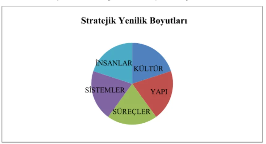 Şekil 1: Stratejik Yenilik İçerik Boyutları 