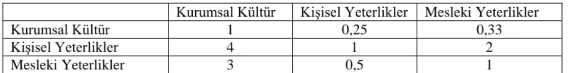 Tablo 10. AHS ile elde edilen değerlendirme kriterleri ve ağırlıkları 