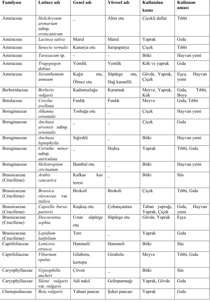 Tablo 6. 1. ( Devam) Üzümlü ’de yetişen bitkiler ve kullanım alanları  Familyası  Latince adı  Genel adı  Yöresel adı  Kullanılan 