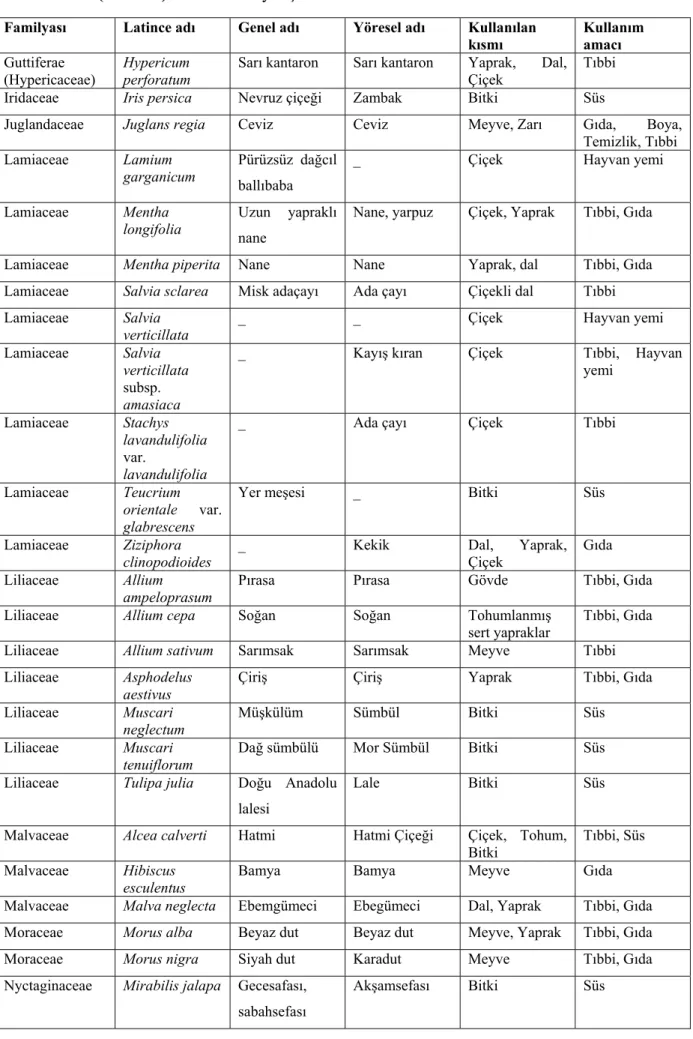 Tablo 6. 1. ( Devam) Üzümlü ’de yetişen bitkiler ve kullanım alanları  Familyası  Latince adı  Genel adı  Yöresel adı  Kullanılan 