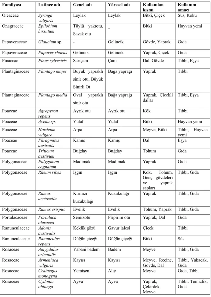Tablo 6. 1. ( Devam) Üzümlü ’de yetişen bitkiler ve kullanım alanları  Familyası  Latince adı  Genel adı  Yöresel adı  Kullanılan 