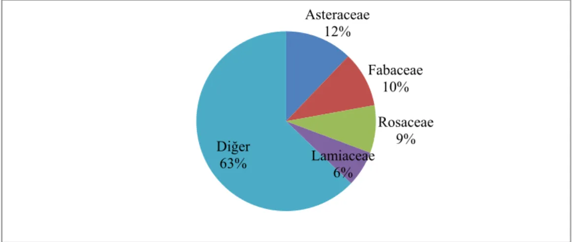 Şekil 6. 1.Familyalara ait takson yüzdeleri 