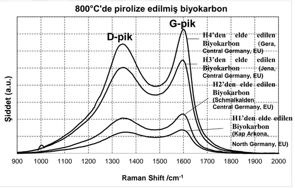 Şekil  4.1.  Almanya’nın  çeşitli  bölgelerindeki  buğday  samanlardan  elde  edilmiş  biyokarbonların Raman sonuçları 