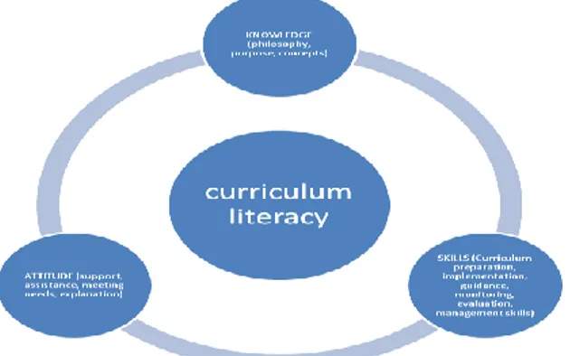 Figure 1. Curriculum literacy 