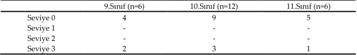Tablo 4. Problem 3 için modelleme seviyeleri 