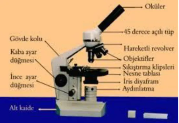 Şekil 1.1. Mikroskop nedir? 