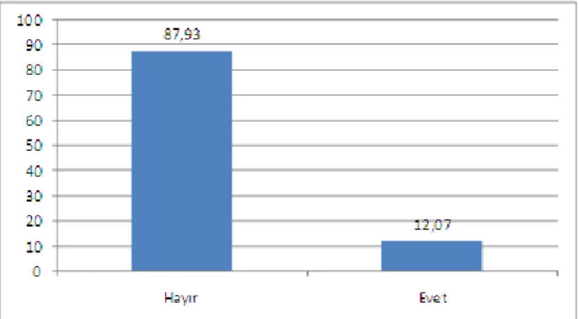 Grafik 13. Öğrenci annelerinin çalışma durumu yüzde (%) dağılımları 