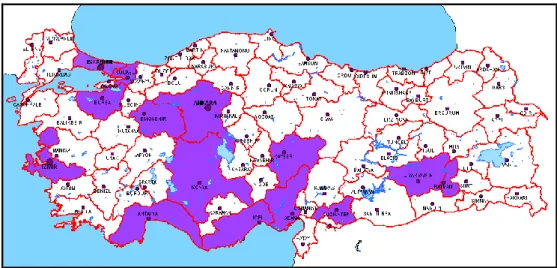 Şekil 2: Türkiye’de göçlerle yoğun nüfus alan bölgeler 