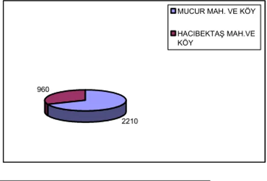 Grafik 1:Mucur ve Hacıbektaş Kazalarının Merkez  Mahalle ve Çevre Köylerindeki tahmini  Nüfusu 