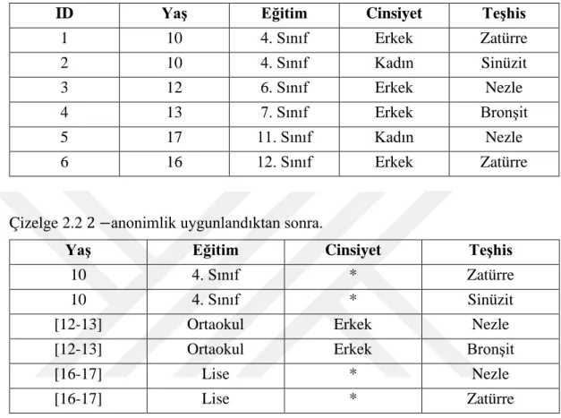 Çizelge 2.1 