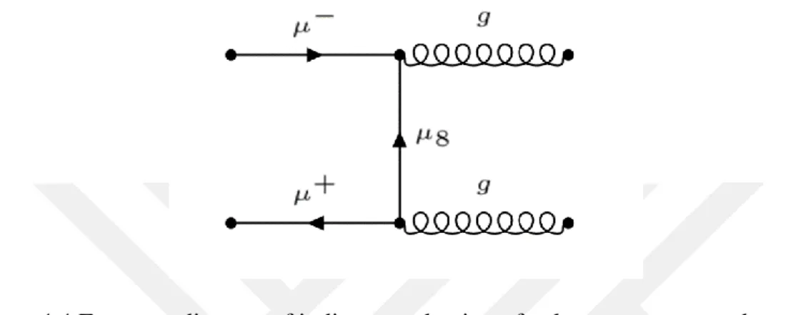 Figure 4.4 Feynman diagram of indirect production of color octet muon at the muon  colliders 