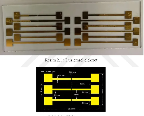 Şekil 2.2 : Elektrot tasarımı  2.1.2 Esnek Elektrotların Üretimi 