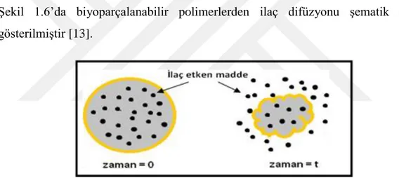 Şekil 1.6: Biyoparçalanabilir polimerden ilaç difüzyonu şematik gösterimi [13].  1.5.6.2 Zincire takılı sistemlerden ilaç salımı 