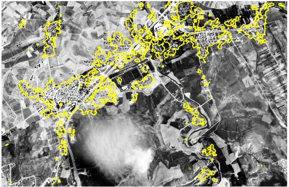 Figure 3.3 : Built environment detected from satellite image of Esenboğa region. 