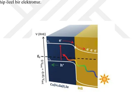 Şekil 1.10 CIGSSe -InS Güneş pilinin çalışma prensibi ve enerji bant diyagramı  Yukarıda belirtildiği gibi, fotoelektrokimyasal su hidrolizi (PEC-SC) işlemi için, en az  1.23 V artı potansiyel değer ∆V potansiyel farkı bulunmalıdır