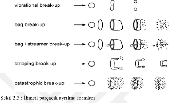 Şekil 2.3 : İkincil parçacık ayrılma formları 