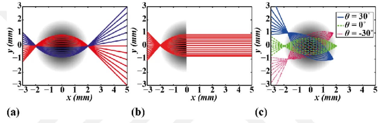 Şekil  2.5:  Lens  üzerinde  odaklanmış  ışınların  (a)  Maxwell  Balıkgözü  (b)  yarım  Maxwell  Balıkgözü  lensi  boyunca  (c)  farklı  geliş  açıları  ile  odaklanmış  ışınların  Maxwell Balıkgözü lensi boyunca izlediği yolun ışın yörünge analizi