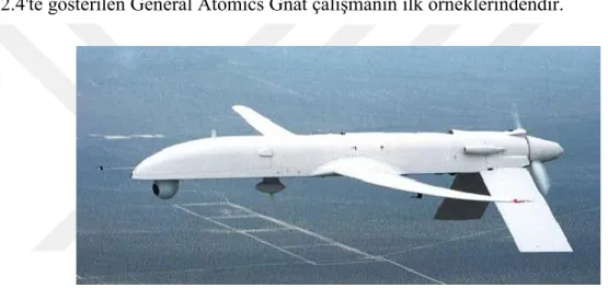 Şekil 2.4: General Atomics Gnat modeli [12] 