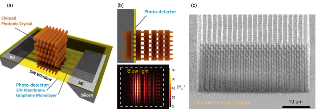 Figure 1. Photodetector concept for slow light monitoring inside a photonic crystal [ 19 ]