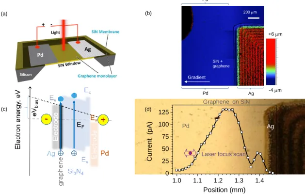 Figure 2. (a) Schematic illustration of the device: a monolayer of graphene sheet is placed on top of a Si 3 N 4 membrane window, two metal pads (Pd and Ag) were then deposited on opposite sides across the Si 3 N 4 -window