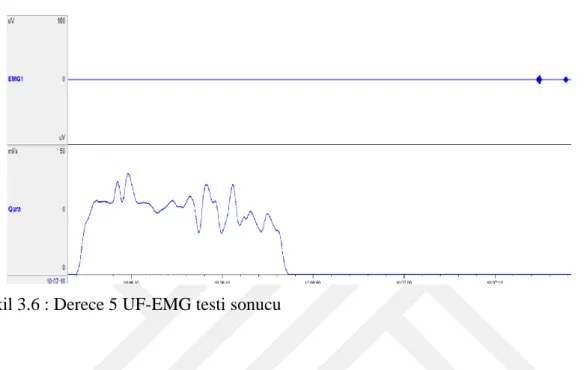 Şekil 3.6 : Derece 5 UF-EMG testi sonucu 