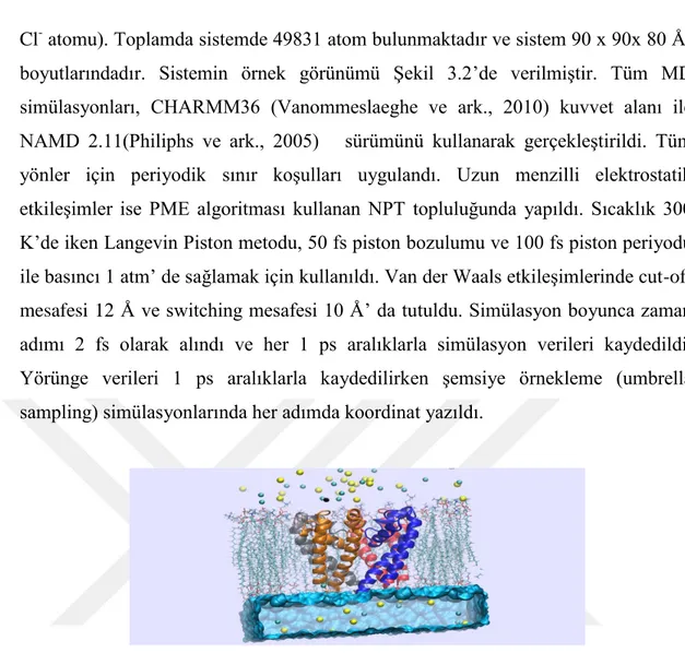 ġekil 3.2 : NavMs sistemi. 