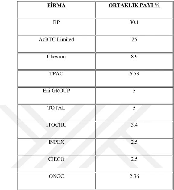Tablo 6.1. BTC Ham Petrol Boru Hattı Şirket Hisseleri Tablosu 14