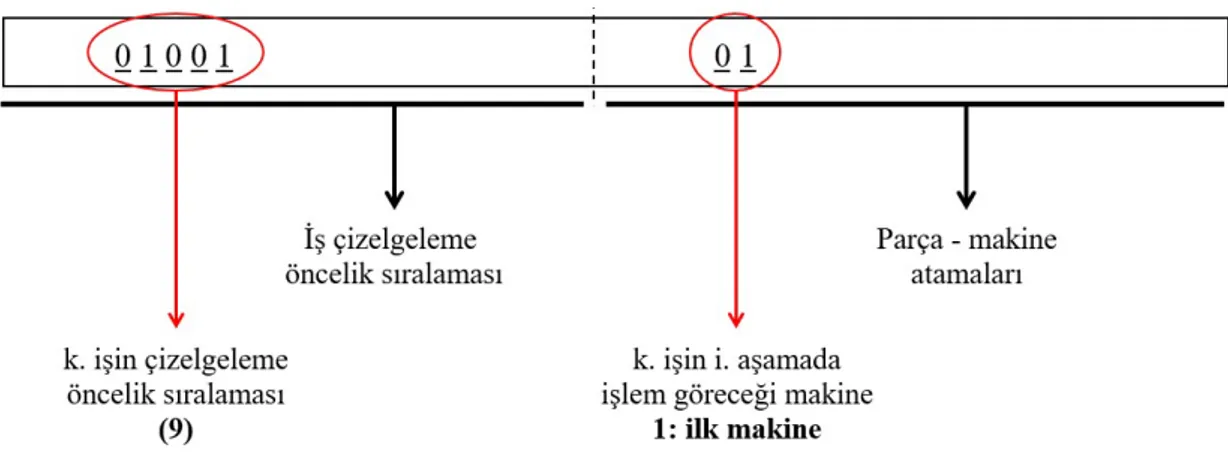 Şekil 4.1 : Genetik boş makine zamanı doldurma algoritmasının kromozom yapısı.  Tüm  iş  -  makine  atamaları  bu  yolla  belirlendikten  sonra  işlerin  makine  üzerinde  çizelgelenmesinde kromozomun ikinci parçasından yararlanılır