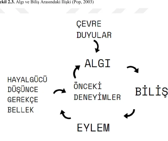 Şekil 2.3. Algı ve Biliş Arasındaki İlişki (Pop, 2003) 