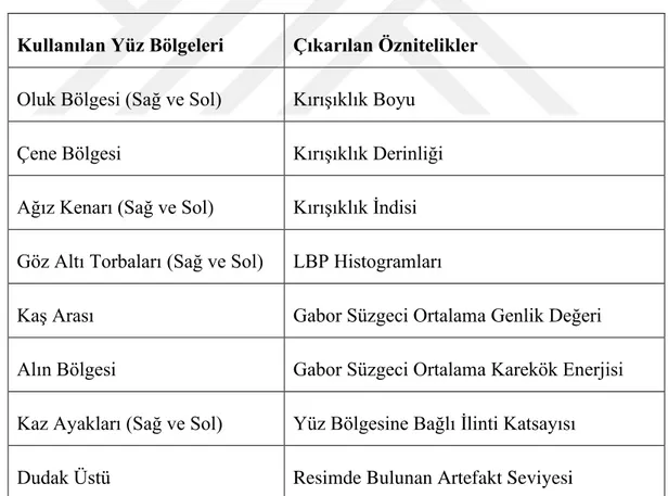 Çizelge 4.2 : Sınıflandırma için kullanılan bölgeler ve çıkarılan öznitelikler 