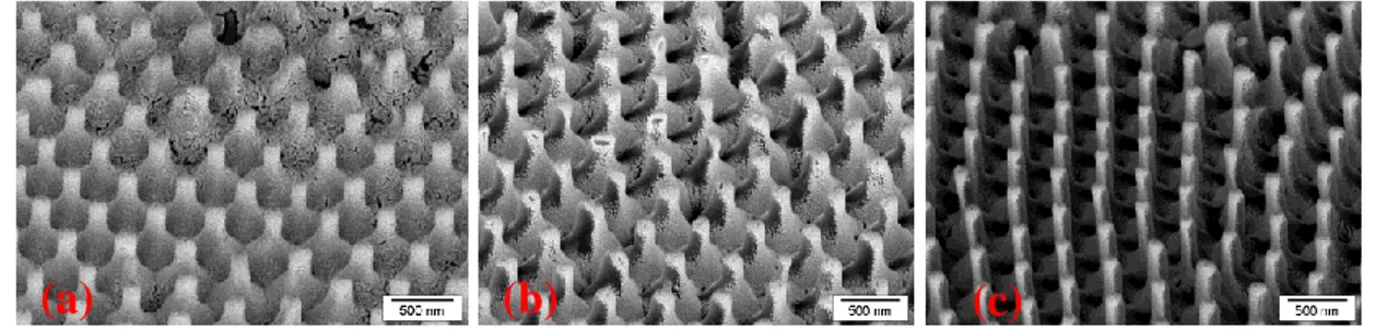 Şekil 3.1: Altın tabakasıyla kaplanmış siyanat ester nanoçubuklarının (a) 20, (b) 30 ve  (c) 40 derece eğim açılı taramalı elektron mikroskobu görüntüleri