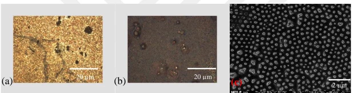 Şekil  3.6: 180/1  boyutlarındaki  nanoçubukların  alumina  tabakası  aşındırma  (a)  sırasında  ve  (b)  sonrasındaki  optik  milroskop  görüntüleri  ile  (c)  aşındırma  sonrasındaki SEM görüntüsü  