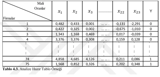 Tablo 4.3. Analize Hazır Tablo Örneği 