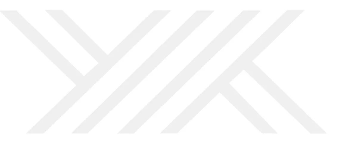 Grafik 3.1. Teknoloji Yaşam Eğrisi .......................................................................