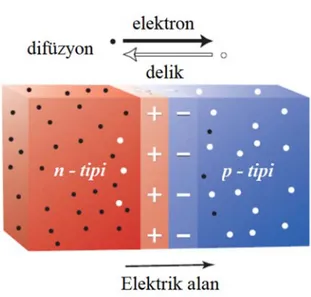 Şekil  2.4:  p-tipi  ve  n-tipi  malzemelerin  birleştirilmesiyle  oluşan  pn  ekleminde  difüzyon sonucu elektrik alan oluşumu 