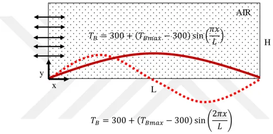 Figure 2.1: Schematic view of the problem. 