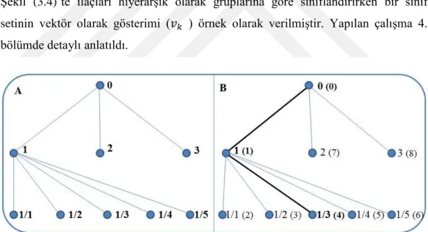 Şekil  (3.4)’te  ilaçları  hiyerarşik  olarak  gruplarına  göre  sınıflandırırken  bir  sınıf  setinin  vektör  olarak  gösterimi  (