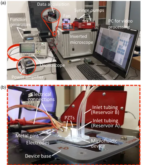 FIG. 8. (a) Experimental set-up and (b) blown-up figure for the microfluidic device.