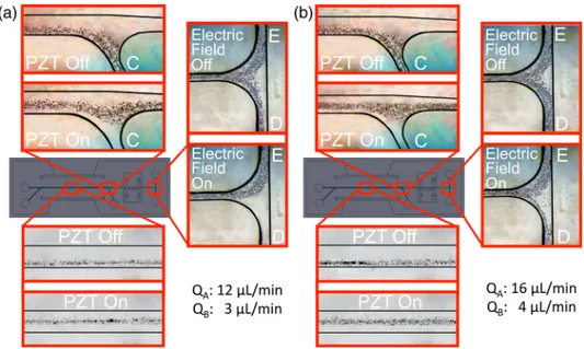 FIG. 10. Particle trajectories: (a) case-3 and (b) case-4.