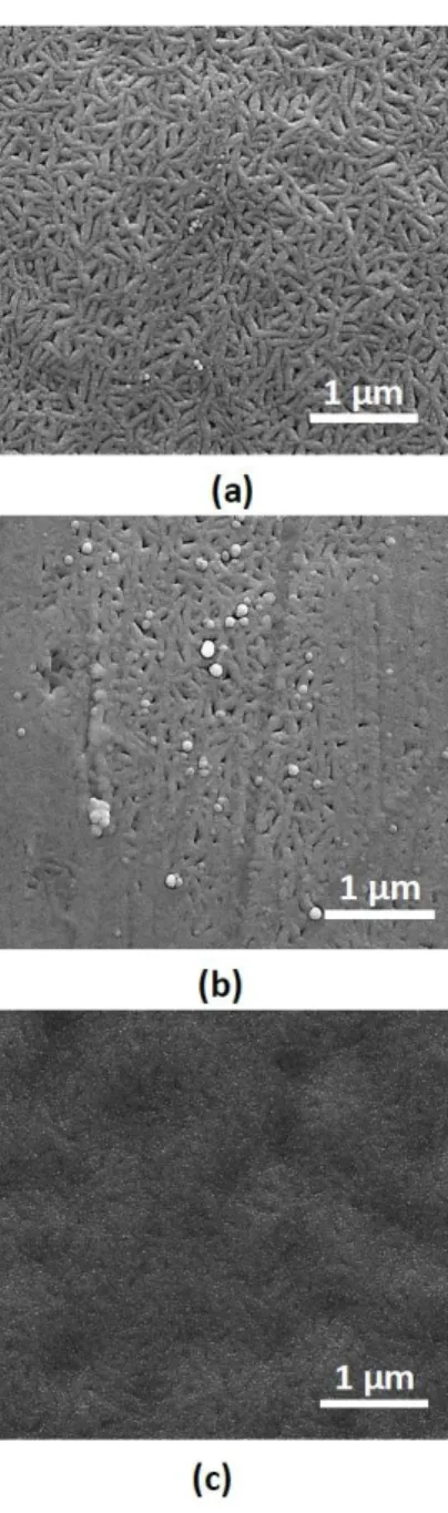 Figure 3. Cont.  Figure 3. Cont.