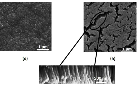 Figure  3.  Scanning  electron  microscopy  images  of  alloyed  (a–d)  and  dealloyed  (e–h)  catalyst  at  various Cu alloying sputtering powers: (a) 30 W; (b) 50 W; (c) 100 W; (d) 200 W; (e) 30 W; (f) 50 W; (g)  100 W; (h) 200 W, where the sputtering po